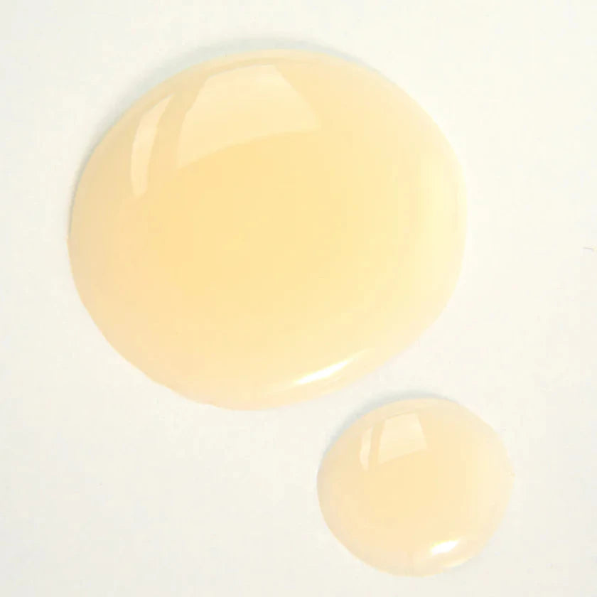 Curly Angels Abolution Shampoo