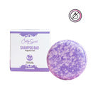 Curly Secret Shampoo Bar Fragrance Free
